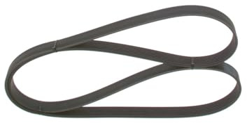 BOSCH Keilrippenriemen 1987948442 | Kompatibel mit: HONDA CR-V II, HYUNDAI H-1 / STAREX Bus, H-1 Kasten, KIA SORENTO I