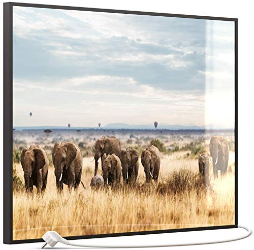 STEINFELD Glas Bild Infrarotheizung 500 Watt – mit Thermostat