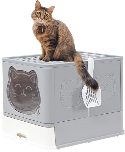 TownTime Katzenklo mit Deckel und Aktivkohlefilter, XXL, Katzentoilette geschlossen, geruchsfrei, Grau