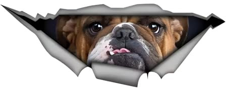 Autoaufkleber Bulldogge Aufkleber 18cm(7.1 Inch) Bulldog Car Sticker 3D Zerrissen Autoaufkleber Lustig Bulldogge Reflektierende Aufkleber Lustig Stoßstange Autofenster Wasserdichte Dekor Aufkleber