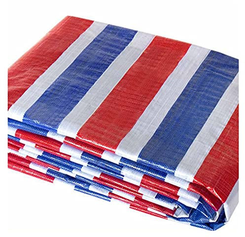 Lona de plástico a prueba de lluvia para exteriores, a prueba de sol, 8 x 10 m