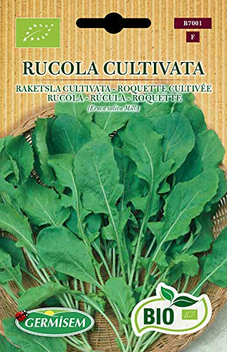 Germisem Biologico Rucola Cultivata Semi di Rucola 6 g