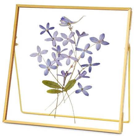 REDHUGO Cadre en verre pour fleurs pressées fait à la main, double cadre en verre, cadre de table, cadre photo simple en métal géométrique flottant en verre, carré, doré, 15,2 x 15,2 cm