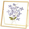 REDHUGO Cadre en verre pour fleurs pressées fait à la main, double cadre en verre, cadre de table, cadre photo simple en métal géométrique flottant en verre, carré, doré, 15,2 x 15,2 cm