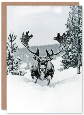 Artery8 Reindeer Black White Winter Forest Snow Blank For Him Or Her Art Xmas Festive Christmas Card
