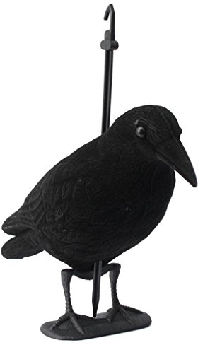 Plastique Statue Corbeau Epouvantail Plante Protection du Jardin Décor Halloween