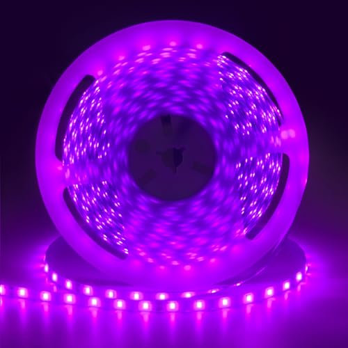 iNextStation 24V Purple Bluish LED Strip Light 10M, 2835 SMD 600 LEDs Flexible Waterproof Cuttable LED Tape Light for Bedroom Kitchen Cabinet Wardrobe TV DIY Lighting (NO Power Plug)