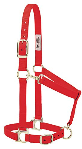 Weaver Leather Basic Halfter aus Nylon, verstellbar, 2,5 cm, Rot | Verstellbares Kinn, Halsverschluss, vermessingte Beschläge für einfache Handhabung und bequeme Passform, Rot