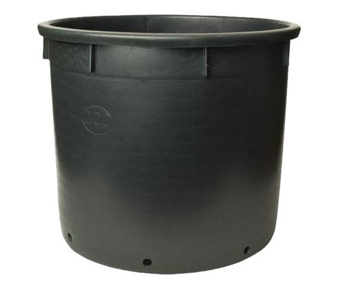 Pasquini & Bini Giant Plant Pot 350L, D95 H73cm