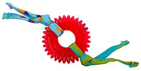 Petstages Kitty Chew Wheel - Katzenspielzeug mit Katzenminze - Gummiring für die Zahnpflege
