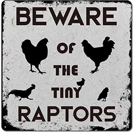 CAEATCABIN Blechschilder Aus Metall „Beware of Tiny Raptors“, Lustige Hühnerstall-Dekoration, Quadratisch, Vintage-Dekoration Für Hühnerstall, Bauernhof, Küche, Im Freien, 12 x 12,(5) cm
