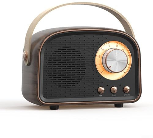 RANRAO Portable Retro Wireless Speaker, Retro Cute Speaker With FM Radio Speaker Music Stereo Rechargeable, Fast Recharge(Black)