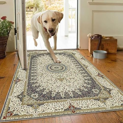 AMEHA Door Mat Indoor 80 x 150 cm Vintage Entrance Floor Mats Non Slip Washable Doormats Outside Dirt Trapper Heavy Duty Doormat Low Profile Super Soft Front Door Mat (Willow Grey)