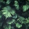 Arthouse | Papier peint mural vert fougère photographique | Effet 3D Feuilles vert foncé | Facile à appliquer | Papier peint à coller | 1005 x 53 cm