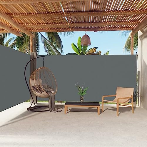 WIFESE Toldo Lateral retráctil Antracita 180x600 cm Toldo Horizontal Exterior Toldos Cortavientos Toldos Laterales Exterior Separador Terraza Exterior Toldo para Patio Balcon Jardin