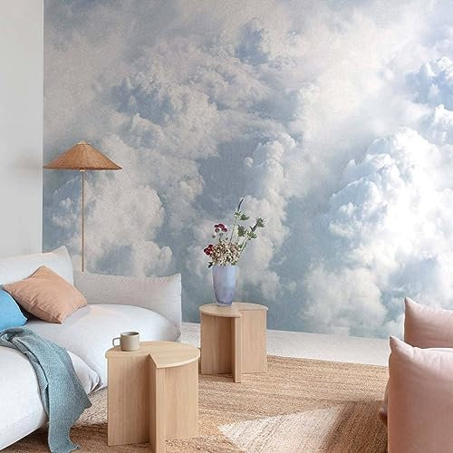 Grandeco ML6001 Non-Woven Mural Wallpaper Sky Clouds Design Blue White Grey
