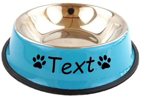 JFS Gamelle Personnalisée pour Chien ou Chat en Acier Inoxydable - pour l'Eau et la Nourriture, Rose ou Bleu