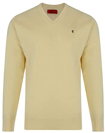 Gabicci Plain V-Neck Sweater (2XL, Corn)