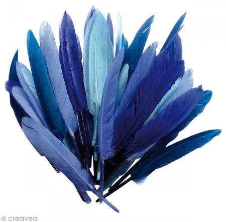 Pw International Dekorationsfedern - 1 Beutel mit 10 g Indianerfedern - Blau - Dekorativ - Unisex - Erwachsene