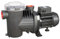 SWT 100-150-200 EBARA POMPA ELETTROPOMPA CENTRIFUGA AUTOADESCANTE PER PISCINA V230 MONOFASE V400 TRIFASE SWT100M SWT150M SWT200M SWT100 SWT150 SWT200 (SWT100M POMPA PER PISCINA HP1 V230 MONOFASE)