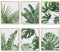 HoozGee Wandkunstdrucke mit Botanischen Pflanzen Grüne Pflanze Wanddekoration Leinwandblätter Küche Boho Badezimmer Dekor Leinwand Blatt Küche Schlafzimmer Dekor 11x14 Zoll (27.9x35.6cm) Ungerahmt
