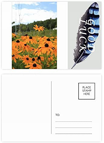 Lot de 20 cartes postales en brocart orange doré - Art déco tendance - Avec plumes porte-bonheur