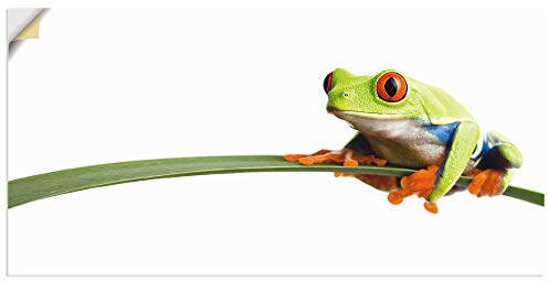 ARTland Wandbild selbstklebend Vinylfolie 60x30 cm Wanddeko Wandtattoo Frosch Tiere Natur Pflanze Blätter Gräser T0OE