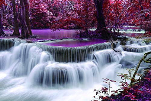 Jigsaw Puzzles 1000 Piece Waterfall in The Forest 27.56 x 19.69 Inch Puzzles for Adults Educational Game Challenge Toy 1000 Pieces