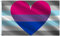 VAFLAG Demiboy Bisexueller Stolz-Flagge, demisexuell Bi Herzflaggen, 91 x 152 cm, Demi sexuell, biromantisch, LGBTQ Regenbogen-Wohnheim-Poster, UV-beständig, Leinwand-Kopf, Wandbehang