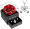 Sunia Ewige Echte Rose mit Herz Halskette und Ohrringe aus 925 Sterlingsilber, Handgemachte Ewige Rose Geschenke für Frauen Mama Oma,Konservierte Rose geben Valentinstag Muttertag,Ewige Rose mit Kette