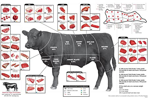 Angus Beef Cuts of Meat Metallschilder, Wanddekoration, Aluminium-Poster, Metzgertabelle, Poster, Küche, Restaurant, Klassenzimmer, Zuhause, Schlafzimmer, Büro, Studio, Supermarkt, 20,3 x 30,5 cm