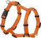 Geschirr Tripoli (orange, S)