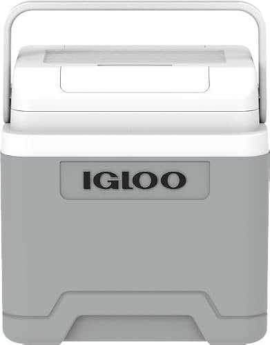 IGLOO IE27 DC elektrische Kühlbox, 27 Liter, Mini-Kühlschrank 12V für Auto, Boot und Freizeit, grau