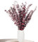 Aufisi Eukalyptus Deko - 22 Stück Getrockneter Eukalyptus (43cm+), Eukalyptus Getrocknet für Deko, Hochzeiten, Wohnaccessoires, Trockenblumen Arrangement, Rot