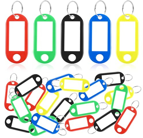100 Pièces Porte Clef Étiquettes en Plastique,Étiquettes Inscriptibles | Clés avec Boucles pour Clés de Maison de Nom D'animal de Compagnie Étiquettes