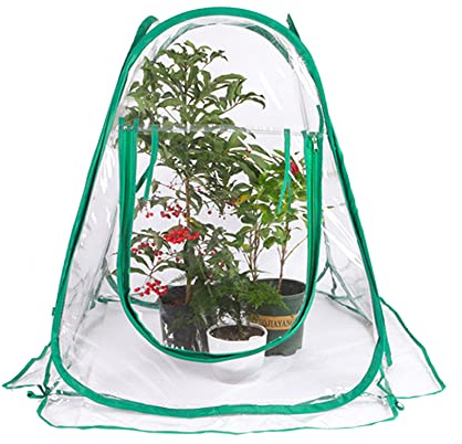 LUCKDANO Mini Grow Tent, Greenhouse Cover Greenhouse Tent for Outdoor Plants Sunshine Room for Flower Grow Gardening Rain Shelter