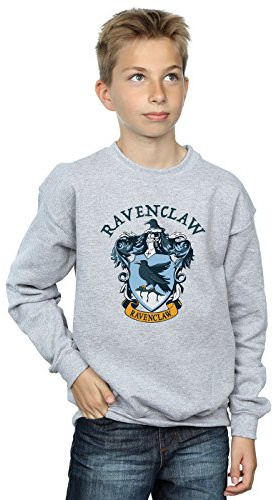 Harry Potter Boys Ravenclaw Crest Sweatshirt