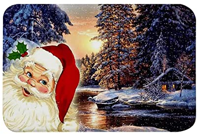Fußmatten Weihnachten Herbstdeko Fußmatten Weihnachtsdeko Fenster Läufer Fußmatten Kürbis Deko Outdoor für Hauseingänge, Flure,Badezimmer, Küche,40X60Cm