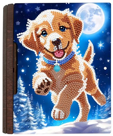 Aublinto Farbenfrohe Schmuckschatulle Schmuckkasten Schmuckbox Schmuckkästchen Aufbewahrungsbox DIY Diamant Malerei Schmuckaufbewahrung Holz Organizer Box Geschenke Weihnachtsdeko Für Frauen