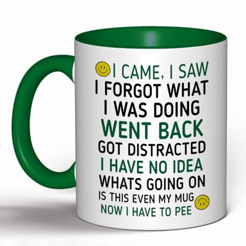 Funny 'I Came, I Saw, I Forgot' Coffee Mug – Humorous Gift for Men & Women, Perfect for Birthdays, Christmas, Secret Santa & Office Gifts (Dark Green)