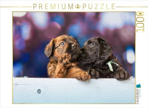 CALVENDO Puzzle Zwei Briard-Welpen | 1000 Teile Lege-Größe 64 x 48 cm Foto-Puzzle für glückliche Stunden