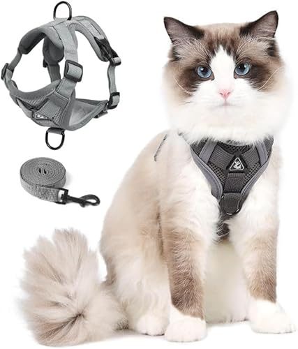Katzengeschirr mit Leinen katzenleine, katzengeschirr mit Leine Ausbruchsicher für Kätzchen und Welpen Spaziergänge im Freien, atmungsaktive Netzjacke mit Reflektorstreifen, M Grau