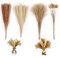 80 Teile Trockenblumenstrauß Pampasgras Deko Boho Style – 15 STK. Weiß, 15 STK. Klein, 20 STK. Lagurus, 30 STK. Schilf, 1 Band – Pampas Trockenblumen 45cm lang