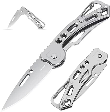 Aoelgoo 2 Stück Taschenmesser Klappmesser, Schlüsselanhänger Minimesser, EDC Messer für Outdoor Camping (Silber)