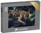 puzzleYOU: Puzzle 1000 Teile „Jaguar, Panthera Onca“ – aus der Puzzle-Kollektion Jaguar, Tiere in Dschungel & Regenwald