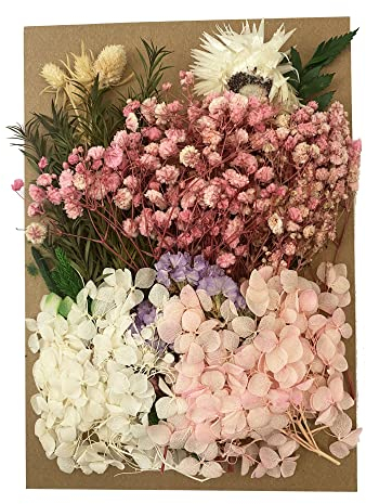 Cayway Echte Getrocknete Gepresste Blumen und Blätter, DIY Natürliche Getrocknet Blumen, Gemischte Getrocknete Blätter für DIY Harz, Scrapbooking, Basteln