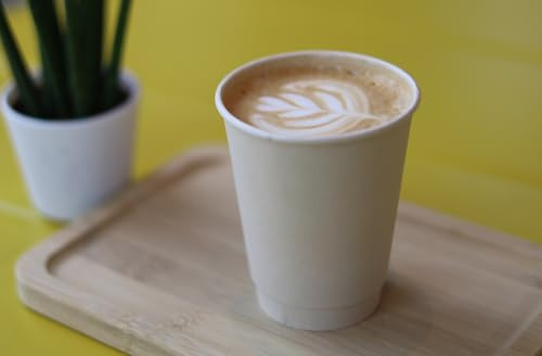 PG EcoAmour Pack of 25 Organic Sugar Cane Double Wall Paper Cups 200 ml 8 oz for Hot Drinks and Cold Drinks - Coffee to Go - Environmentally Friendly Coffee Cups, Disposable Tableware Drinking Cups