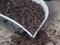 corte de raíz de valeriana 500 g