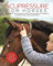 Acupressure for Horses: Hands-On Techniques to Solve Performance Problems and Ease Pain and Discomfort (English Edition)