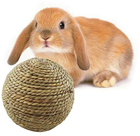Bongles Kaninchen Kauen Spielzeug Naturrasen Kugel Kleintiere Zahnreinigung Spielzeug Kaninchen-Katzen Kleine Nagetiere Zähneknirschen Spielzeug Tierbedarf 6cm